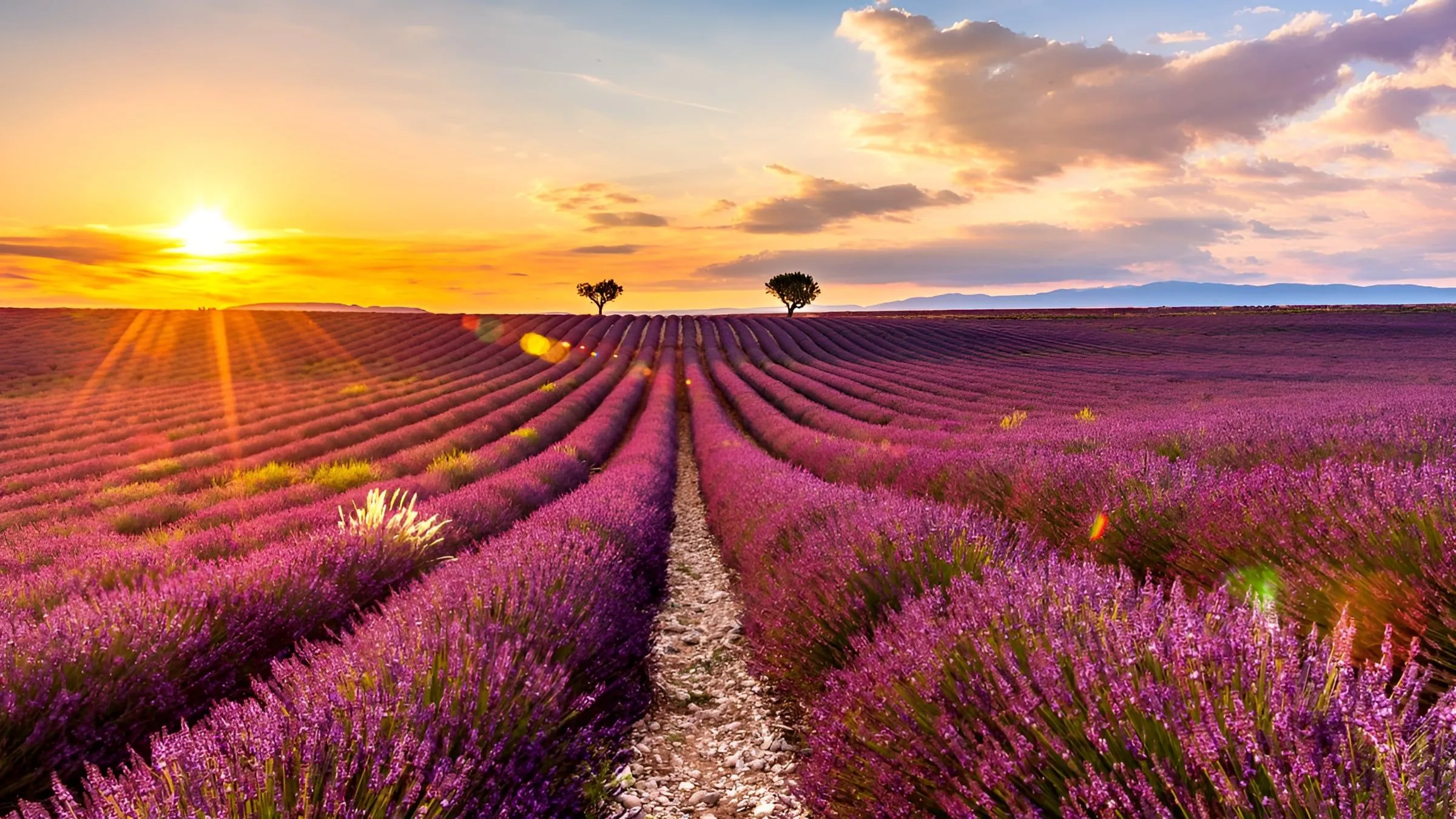 Plateau de Sault, Luberon